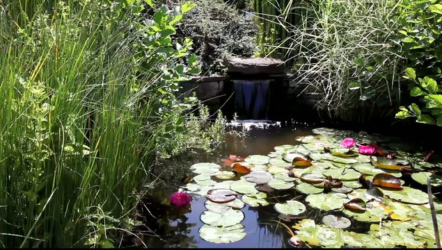 petite source de jardin aquatique zen