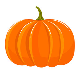Pumpkin illustration