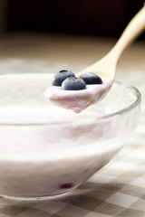 Yogurt and Blueberry