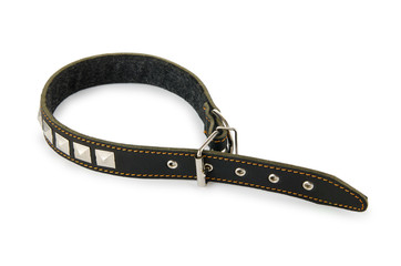 Dog collar isolated on the white background