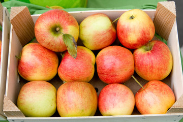 Kiste Äpfel