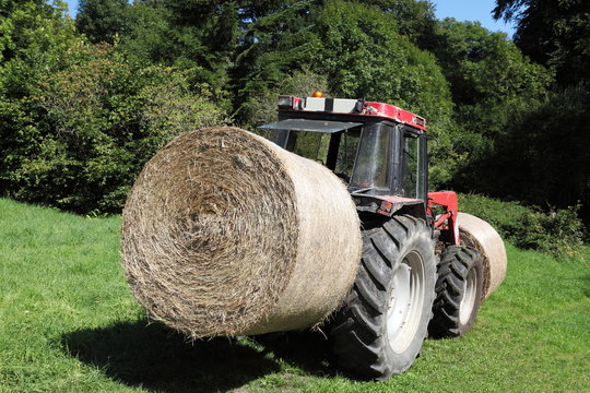 Transporting Hay Bales For Fodder