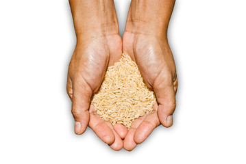 Farmer's palm with brown rice inside.