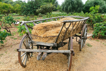 wooden wagon © Georgiy Pashin