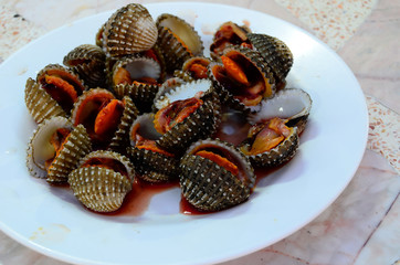scaled blood cockle
