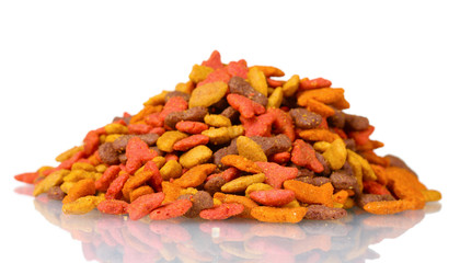 Dry cat food isolated on white