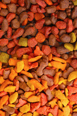 Dry cat food close-up