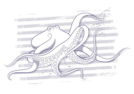 Octopus. Marine theme vector drawing