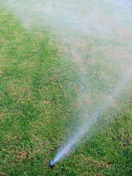Sprinkler spray, aspersor.