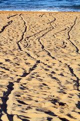 Traces Cullera beach  Valencia province Spain