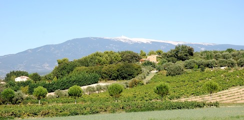 Paysage du Vaucluse