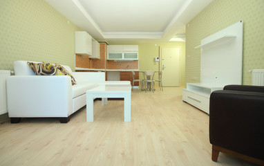 Green studio home