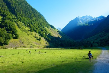 Fototapeta na wymiar Niebieskie jezioro, Pireneje, Francja