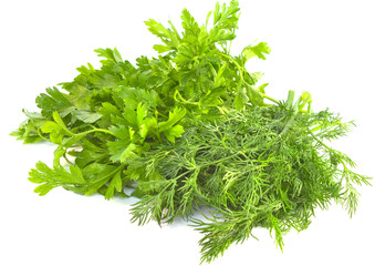 Dill and parsley on a white background