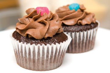 Two Chocolate Cupcakes