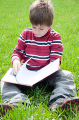 Naklejka na ściany i meble A boy reads a book in the park