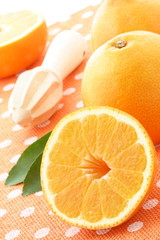Fresh  healthy oranges