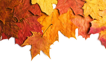 Naklejka na ściany i meble dry autumn leaves isolated
