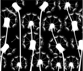 white dandelions background illustration