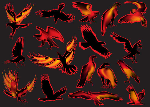 set of flame eagles