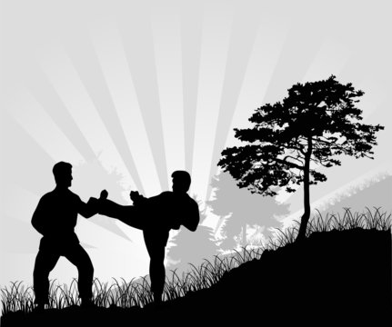 fighting man silhouettes in grass