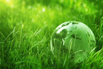 Green glass globe in the grass - obrazy, fototapety, plakaty