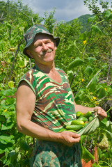 Gardener with cucumbers 2
