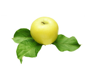 apple  and leaves
