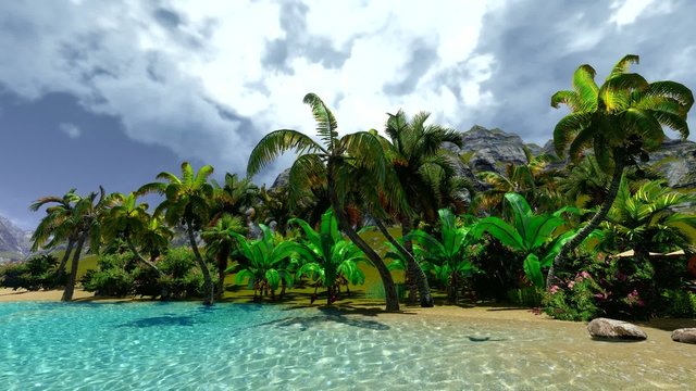 Hawaiian paradise