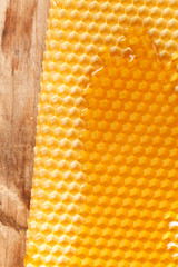 fresh honey in comb