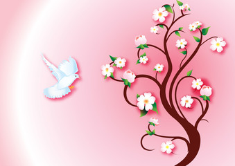 Dove announcing spring