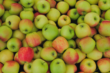 Apples