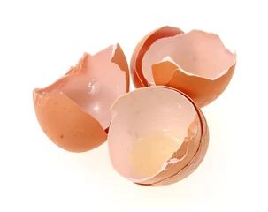 Foto auf Acrylglas Brown egg shells © Bert Folsom