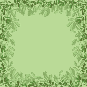 Background, green leaves