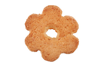 Closeup photo of one cookies on white