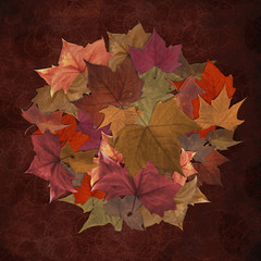 Naklejka na ściany i meble Fall leaf circle background