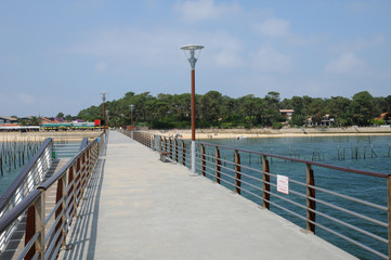 paysage au Cap Ferret en Gironde