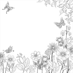 Fototapeta premium Flower background, contours