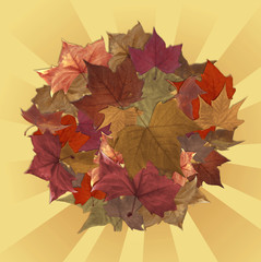 Naklejka na ściany i meble Autumn leaves circle with striped background