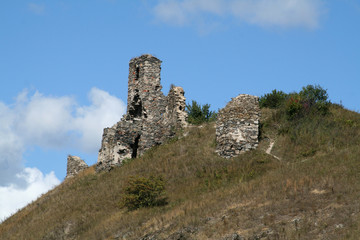 Ruins of castle