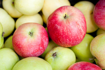 apple background