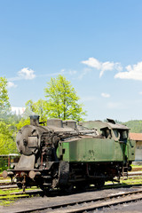 Fototapeta na wymiar steam locomotive,delivery point in Oskova,Bosnia and Hercegovina