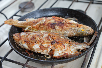Fried fish in a frying pan