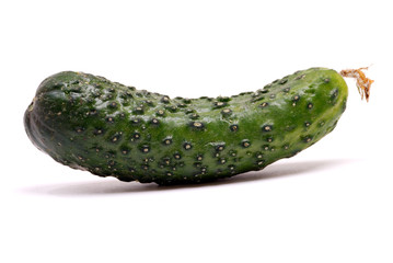 cucumber