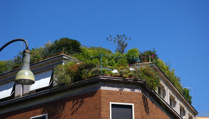 Jardin sur le toit.