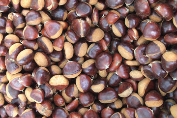 Esskastanien