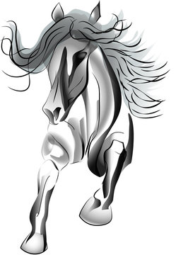 Schattenpferd