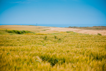 Countryside landscapa at Karatas