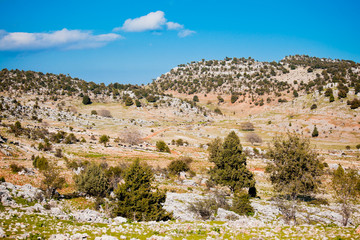Fototapeta na wymiar Rural landscape in Turkey