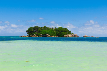 Mountain Nature Beauty